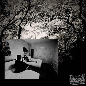 THE WOODS (feat. maxxerg) (Explicit)