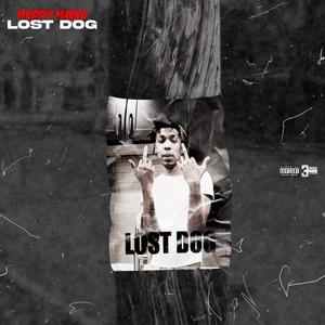 Lost Dog (Explicit)