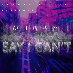 Say I Can't (feat. J Willz)