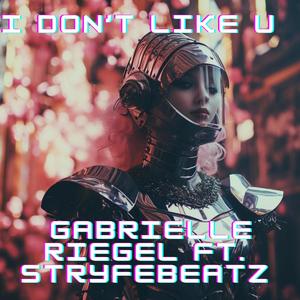 i don't like u (feat. Stryfe Beatz)