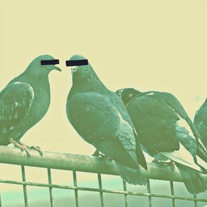 March of the Pigeons