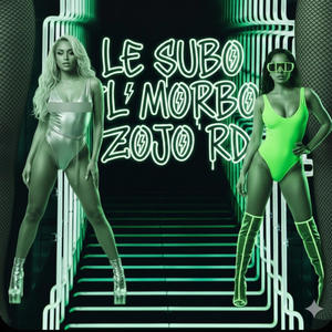 LE SUBO