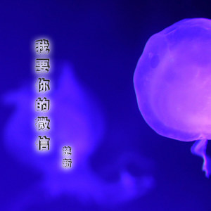 怎配我这状元郎