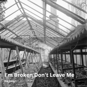 I'm Broken Don't Leave Me (Explicit)