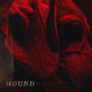 Hound