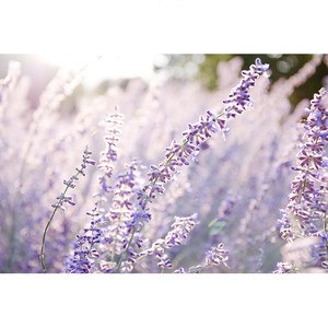 미안해 정말 (I'm Sorry)