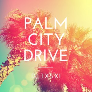 Palm City Drive