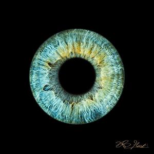 CONSTELLATIONS (feat. Sewerperson) (Explicit)