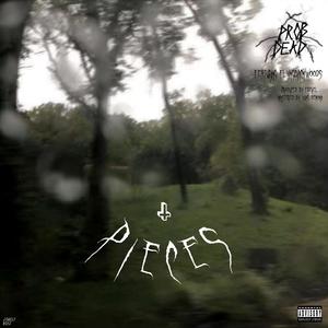 pieces (Explicit)
