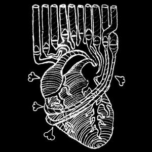 Symbiosis In A Minor