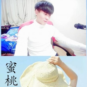 蜜桃直播 (DJ版)