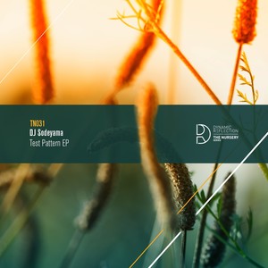 Test Pttrn 013 (Original Mix)