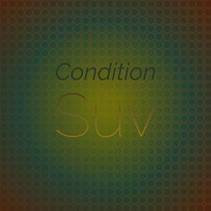 Condition Suv