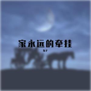家永远的牵挂demo