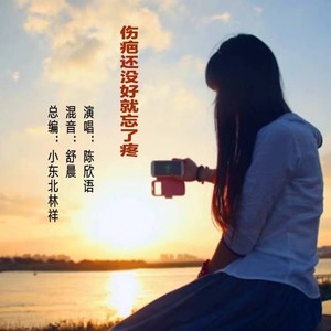 伤疤还没好就忘了疼