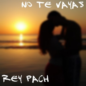 No Te Vayas