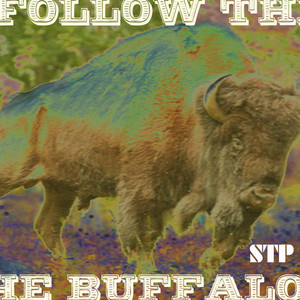 Follow The Buffalo