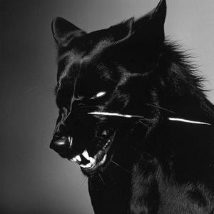 INSANO BEATS - No Te Acerques