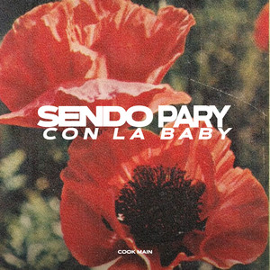 SENDO PARY CON LA BABY