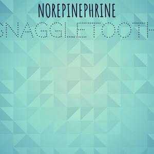 Norepinephrine Snaggletooth