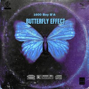 Butterfly Effect (Explicit)