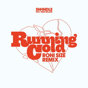 Running Cold [feat. Terri Walker] (Roni Size Remix)