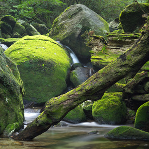 2022宿舍秋季时装周T台走秀音乐
