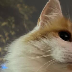 In the sky (Explicit)