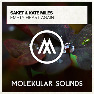 Empty Heart Again (Extended Mix)
