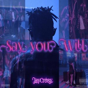 Say You Will (Explicit)