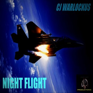 Night Flight (Original Mix)