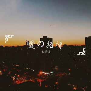 爱的招待封面