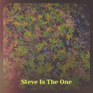 Shake Hands And Walk Away Crying