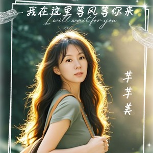 我在这里等风等你来封面
