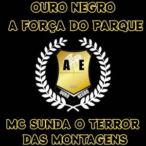 Ouro Negro: A Força do Parque