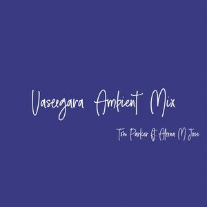 Vaseegara Ambient Mix (feat. Aleena M Jose)