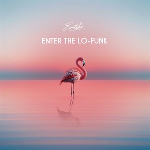 Enter The Lo-Funk