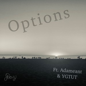 Options (feat. Adameant & YGTUT)