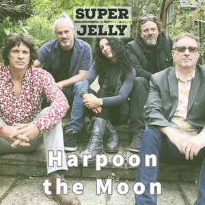 Harpoon the Moon