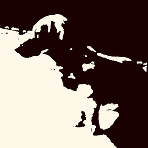 Canción Animal