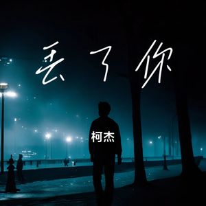 丢了你（再次遇见你 再次用力把你抱紧）