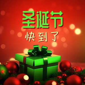 圣诞节快到了
