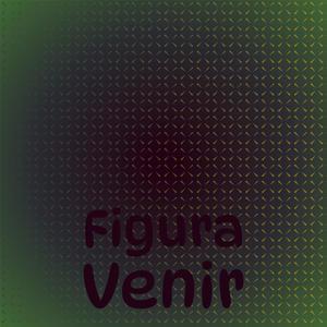 Figura Venir