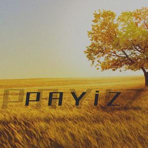 Payiz