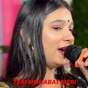 Teri Mohabat Meri