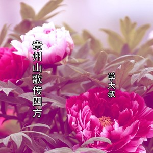 贵州山歌传四方