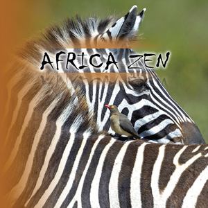 Africa Zen