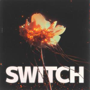 SWITCH