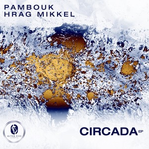 Circada