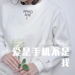 杨鞭催马运粮忙 (Remix)